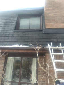 Feb 24, 2025 @ 1204 PM 01